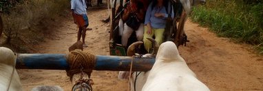 Souvenir du voyage de Yannis, Sri Lanka