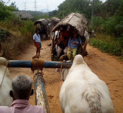 Souvenir du voyage de Yannis, Sri Lanka