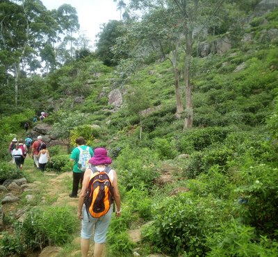 Souvenir du voyage de Yannis, Sri Lanka