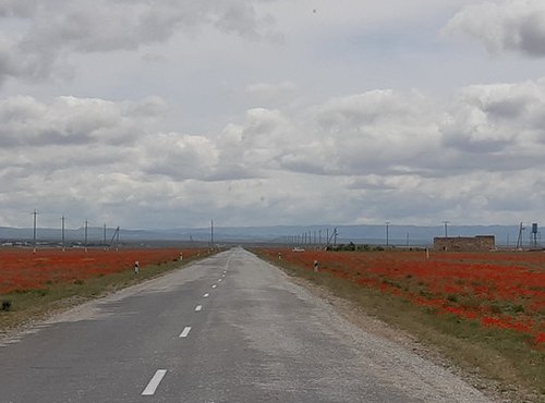 Souvenir du voyage de Bérangère , Ouzbekistan