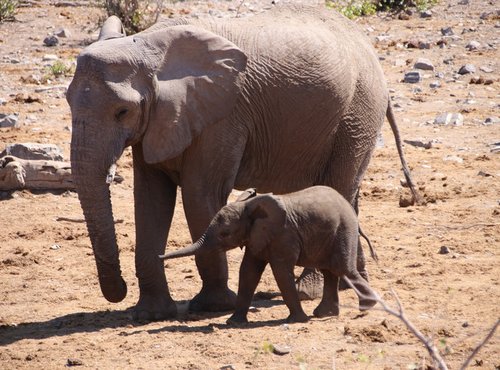 Souvenir du voyage de Bea, Namibie