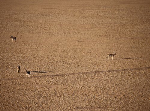 Souvenir du voyage de Bea, Namibie