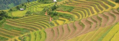Souvenir du voyage de Jacques, Vietnam