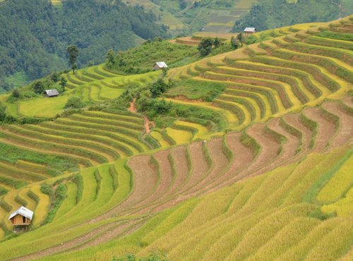 Souvenir du voyage de Jacques, Vietnam