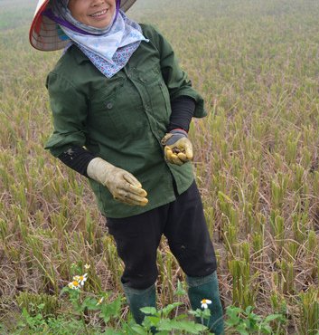 Souvenir du voyage de Jacques, Vietnam