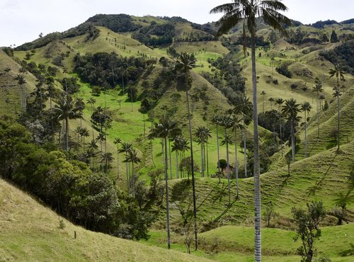 Souvenir du voyage de Bénédicte , Colombie