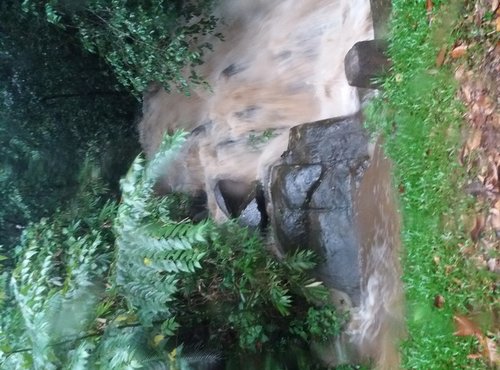 Souvenir du voyage de Martine, Sri Lanka