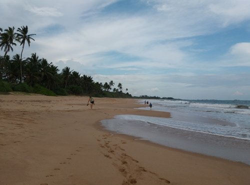 Souvenir du voyage de Martine, Sri Lanka