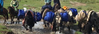 Souvenir du voyage de Frédérique , Mongolie