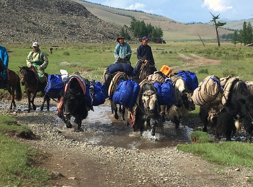 Souvenir du voyage de Frédérique , Mongolie