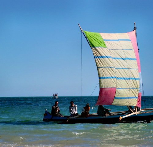 Souvenir du voyage de Olivier, Madagascar
