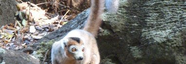 Souvenir du voyage de Olivier, Madagascar