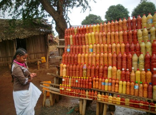 Souvenir du voyage de Olivier, Madagascar