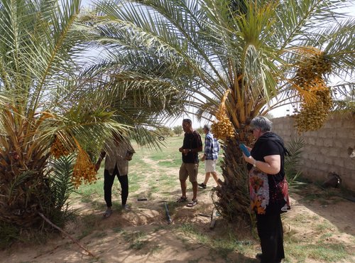 Souvenir du voyage de Eric, Maroc