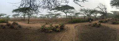 Souvenir du voyage de Sebastien, Tanzanie