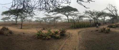 Souvenir du voyage de Sebastien, Tanzanie