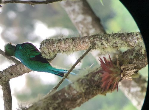 Souvenir du voyage de Michel, Costa Rica