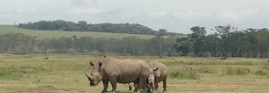 Souvenir du voyage de Margot, Kenya