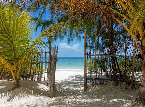 Souvenir du voyage de Séverine , Tanzanie