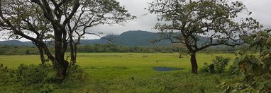 Souvenir du voyage de Séverine , Tanzanie