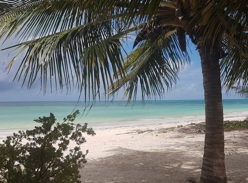 Souvenir du voyage de Séverine , Tanzanie