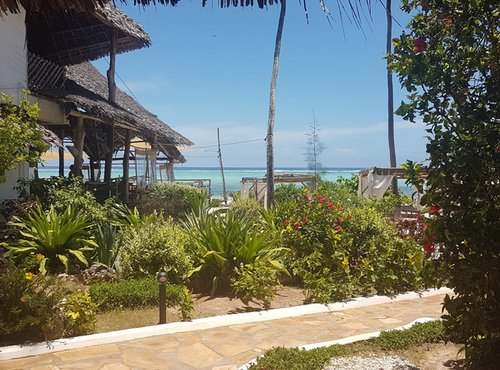Souvenir du voyage de Séverine , Tanzanie