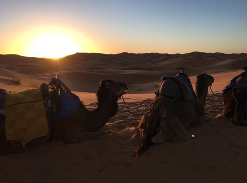 Souvenir du voyage de Laurence, Maroc