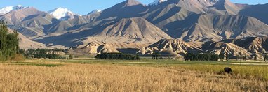 Souvenir du voyage de Chantal, Ouzbekistan