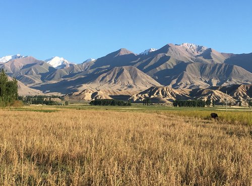 Souvenir du voyage de Chantal, Ouzbekistan