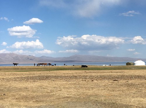 Souvenir du voyage de Chantal, Ouzbekistan