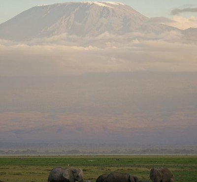 Souvenir du voyage de Julien, Kenya