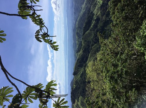 Souvenir du voyage de Michèle, Costa Rica