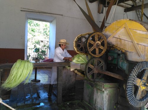 Souvenir du voyage de Jean Philippe, Mexique