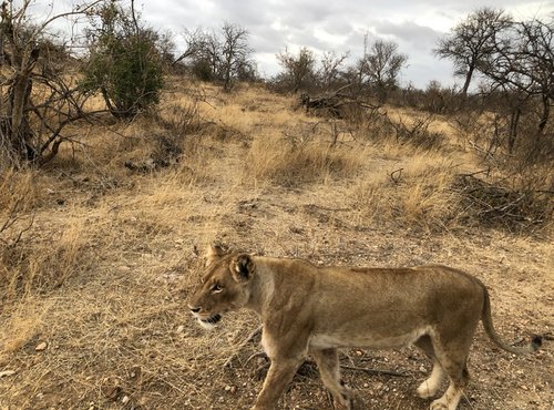 Souvenir du voyage de Cécile, Afrique du Sud