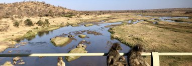 Souvenir du voyage de Cécile, Afrique du Sud