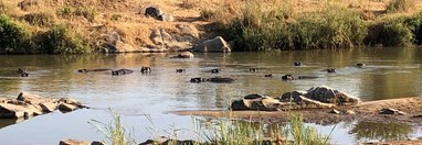 Souvenir du voyage de Cécile, Afrique du Sud