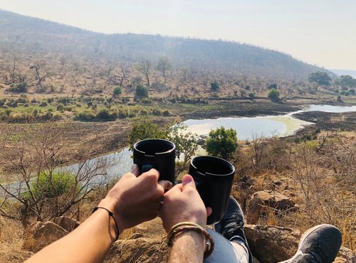 Souvenir du voyage de Pauline, Afrique du Sud