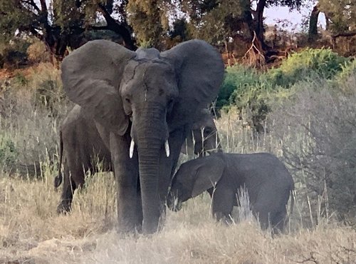 Souvenir du voyage de Patricia, Afrique du Sud