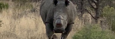 Souvenir du voyage de Patricia, Afrique du Sud