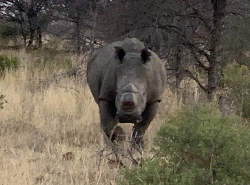 Souvenir du voyage de Patricia, Afrique du Sud