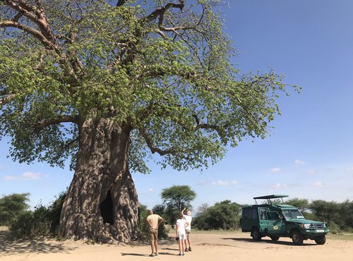Souvenir du voyage de Françoise, Tanzanie