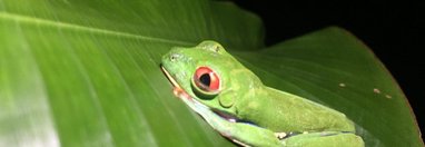 Souvenir du voyage de Aurelien, Costa Rica