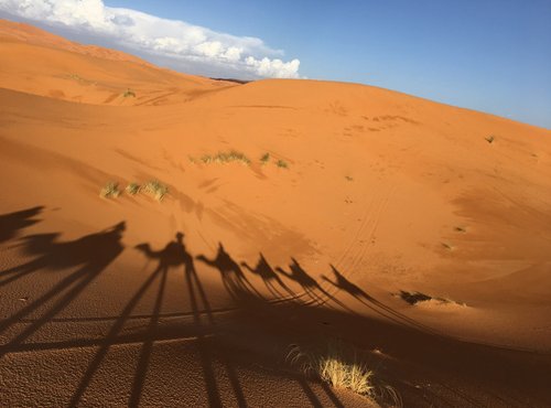 Souvenir du voyage de Nicole, Maroc