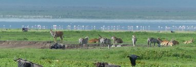 Souvenir du voyage de Jean Pierre, Tanzanie