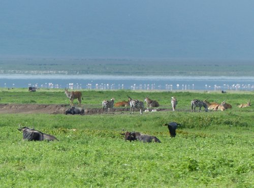 Souvenir du voyage de Jean Pierre, Tanzanie