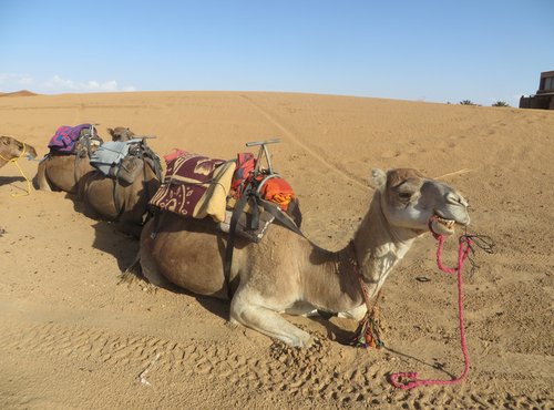 Souvenir du voyage de Michelle, Maroc