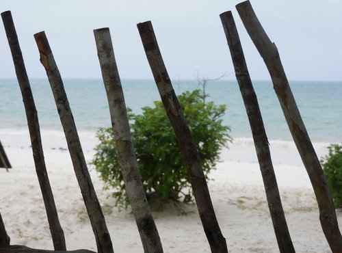 Souvenir du voyage de Baptiste, Tanzanie