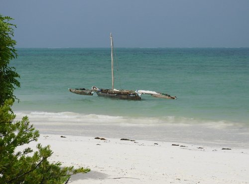 Souvenir du voyage de Baptiste, Tanzanie
