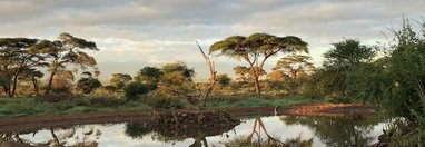 Souvenir du voyage de Paul, Kenya