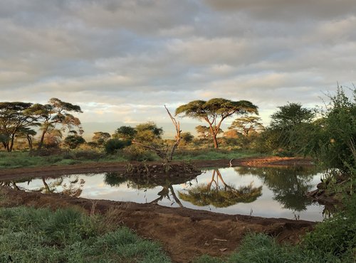 Souvenir du voyage de Paul, Kenya